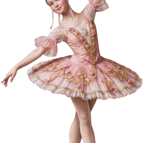 1DcFDqHeYR5szclhoP7C305725MExNWFH.cropped-1.png Ballerina posing in tutu